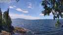 ./images/koeye/fitz-hugh/20250703/fitz-hugh20250703_135010M.jpg