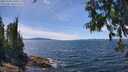 ./images/koeye/fitz-hugh/20250703/fitz-hugh20250703_140509M.jpg