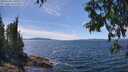 ./images/koeye/fitz-hugh/20250703/fitz-hugh20250703_141010M.jpg