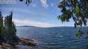 ./images/koeye/fitz-hugh/20250703/fitz-hugh20250703_142509M.jpg
