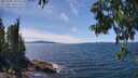 ./images/koeye/fitz-hugh/20250703/fitz-hugh20250703_143509M.jpg