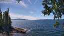 ./images/koeye/fitz-hugh/20250703/fitz-hugh20250703_144009M.jpg