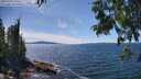 ./images/koeye/fitz-hugh/20250703/fitz-hugh20250703_144511M.jpg