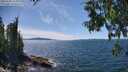 ./images/koeye/fitz-hugh/20250703/fitz-hugh20250703_145010M.jpg