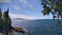 ./images/koeye/fitz-hugh/20250703/fitz-hugh20250703_145510M.jpg