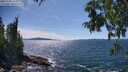 ./images/koeye/fitz-hugh/20250703/fitz-hugh20250703_152510M.jpg