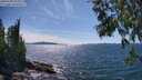 ./images/koeye/fitz-hugh/20250703/fitz-hugh20250703_153010M.jpg