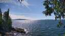 ./images/koeye/fitz-hugh/20250703/fitz-hugh20250703_153510M.jpg