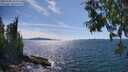 ./images/koeye/fitz-hugh/20250703/fitz-hugh20250703_154508M.jpg