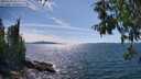 ./images/koeye/fitz-hugh/20250703/fitz-hugh20250703_155012M.jpg