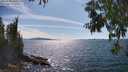 ./images/koeye/fitz-hugh/20250703/fitz-hugh20250703_160511M.jpg