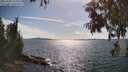 ./images/koeye/fitz-hugh/20250703/fitz-hugh20250703_165011M.jpg