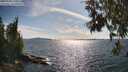 ./images/koeye/fitz-hugh/20250703/fitz-hugh20250703_171008M.jpg