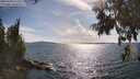 ./images/koeye/fitz-hugh/20250703/fitz-hugh20250703_172010M.jpg