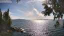 ./images/koeye/fitz-hugh/20250703/fitz-hugh20250703_172510M.jpg