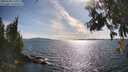 ./images/koeye/fitz-hugh/20250703/fitz-hugh20250703_173010M.jpg