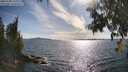 ./images/koeye/fitz-hugh/20250703/fitz-hugh20250703_174011M.jpg