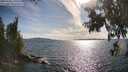 ./images/koeye/fitz-hugh/20250703/fitz-hugh20250703_175011M.jpg