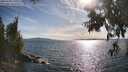 ./images/koeye/fitz-hugh/20250703/fitz-hugh20250703_180012M.jpg