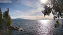 ./images/koeye/fitz-hugh/20250703/fitz-hugh20250703_181010M.jpg