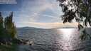 ./images/koeye/fitz-hugh/20250703/fitz-hugh20250703_182510M.jpg