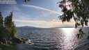./images/koeye/fitz-hugh/20250703/fitz-hugh20250703_184011M.jpg