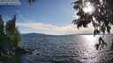 ./images/koeye/fitz-hugh/20250703/fitz-hugh20250703_190009M.jpg