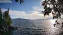 ./images/koeye/fitz-hugh/20250703/fitz-hugh20250703_192508M.jpg