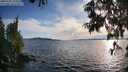 ./images/koeye/fitz-hugh/20250703/fitz-hugh20250703_193508M.jpg
