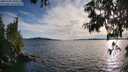./images/koeye/fitz-hugh/20250703/fitz-hugh20250703_194509M.jpg