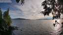 ./images/koeye/fitz-hugh/20250703/fitz-hugh20250703_195508M.jpg