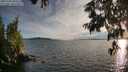 ./images/koeye/fitz-hugh/20250703/fitz-hugh20250703_202509M.jpg