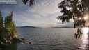 ./images/koeye/fitz-hugh/20250703/fitz-hugh20250703_203009M.jpg