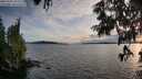 ./images/koeye/fitz-hugh/20250703/fitz-hugh20250703_203507M.jpg