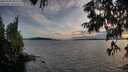 ./images/koeye/fitz-hugh/20250703/fitz-hugh20250703_204009M.jpg