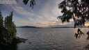 ./images/koeye/fitz-hugh/20250703/fitz-hugh20250703_204508M.jpg