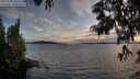 ./images/koeye/fitz-hugh/20250703/fitz-hugh20250703_205508M.jpg