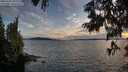 ./images/koeye/fitz-hugh/20250703/fitz-hugh20250703_210009M.jpg