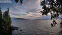 ./images/koeye/fitz-hugh/20250703/fitz-hugh20250703_213508M.jpg