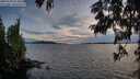 ./images/koeye/fitz-hugh/20250703/fitz-hugh20250703_214009M.jpg