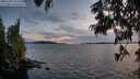 ./images/koeye/fitz-hugh/20250703/fitz-hugh20250703_215509M.jpg