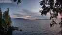 ./images/koeye/fitz-hugh/20250703/fitz-hugh20250703_220508M.jpg