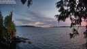 ./images/koeye/fitz-hugh/20250703/fitz-hugh20250703_221009M.jpg