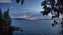 ./images/koeye/fitz-hugh/20250703/fitz-hugh20250703_222508M.jpg