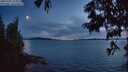 ./images/koeye/fitz-hugh/20250703/fitz-hugh20250703_224008M.jpg