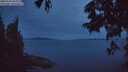 ./images/koeye/fitz-hugh/20250704/fitz-hugh20250704_043010M.jpg