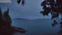 ./images/koeye/fitz-hugh/20250704/fitz-hugh20250704_044009M.jpg
