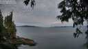 ./images/koeye/fitz-hugh/20250704/fitz-hugh20250704_052009M.jpg
