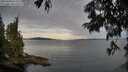 ./images/koeye/fitz-hugh/20250704/fitz-hugh20250704_063510M.jpg