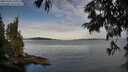 ./images/koeye/fitz-hugh/20250704/fitz-hugh20250704_071011M.jpg
